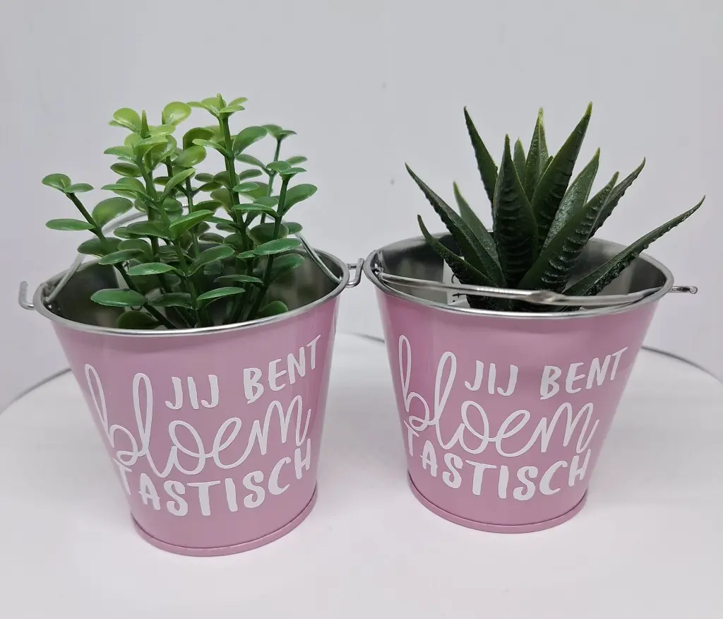 bloempotje2.webp