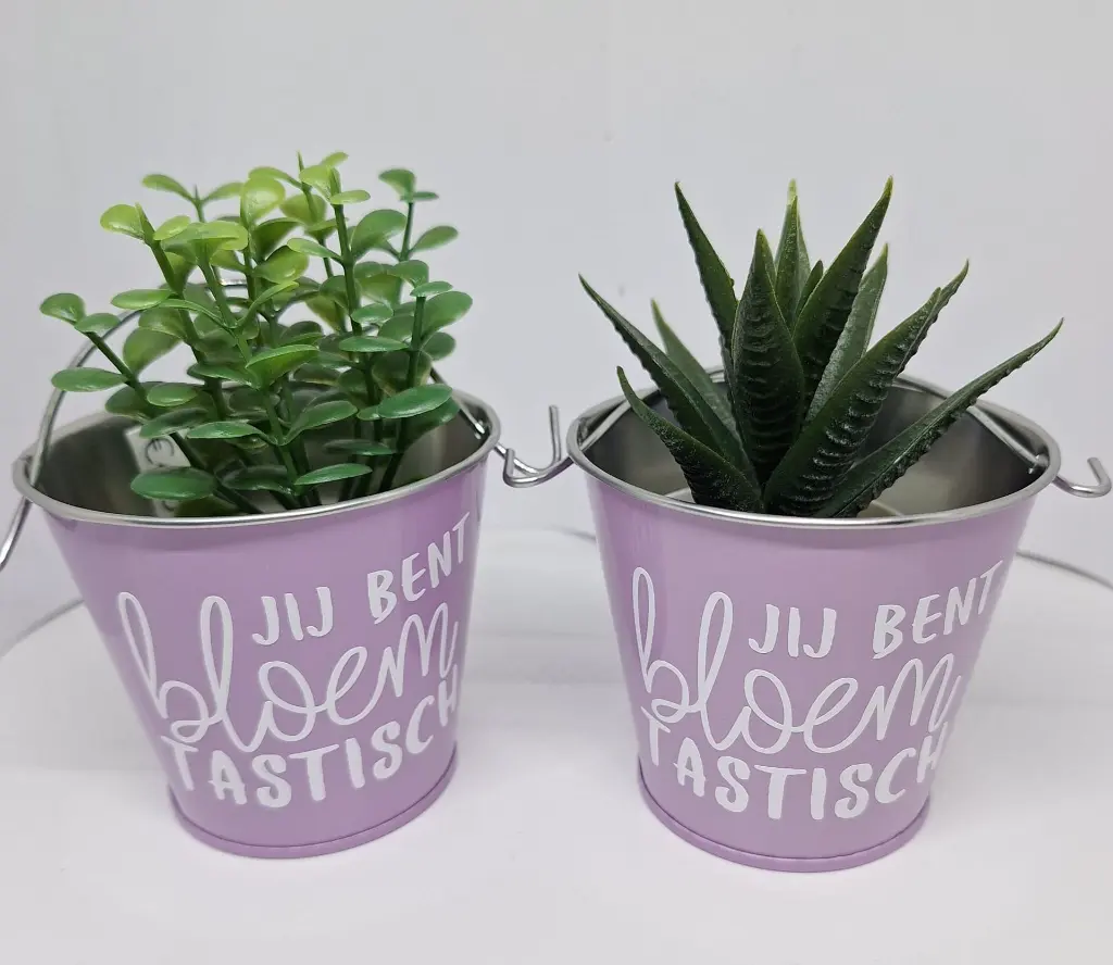 bloempotje1.webp