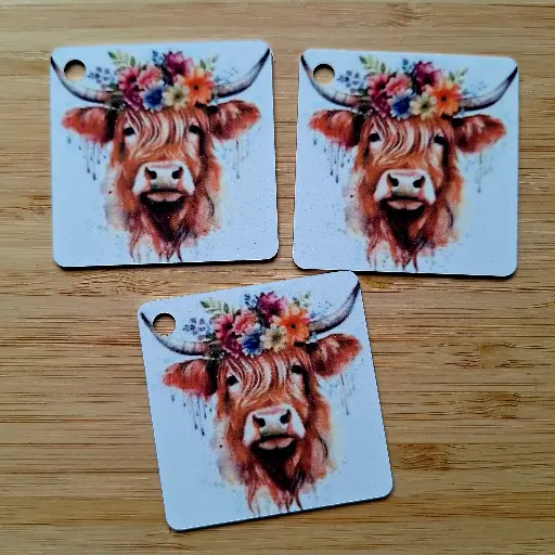 Sleutelhanger - hooglander - vierkant