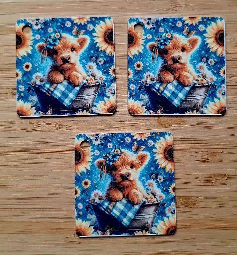Sleutelhanger - baby hooglander - vierkant